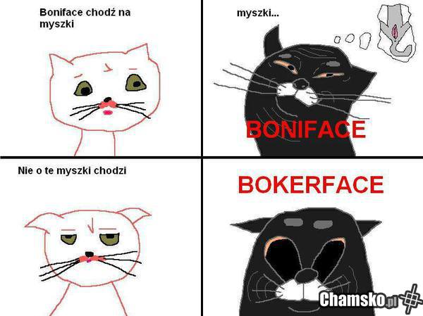 Bonifacy to perfidny zbok