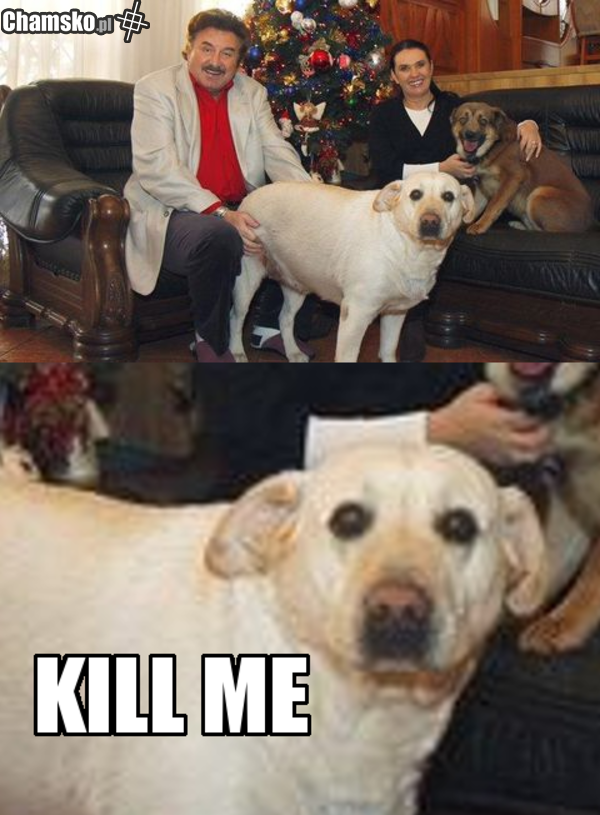 Krawczyk