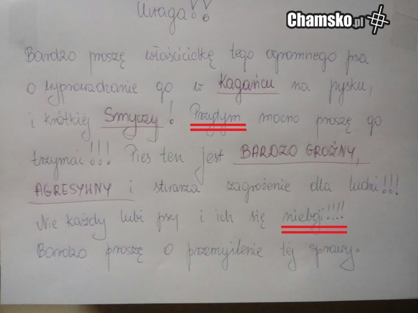 Mistrz ortografii