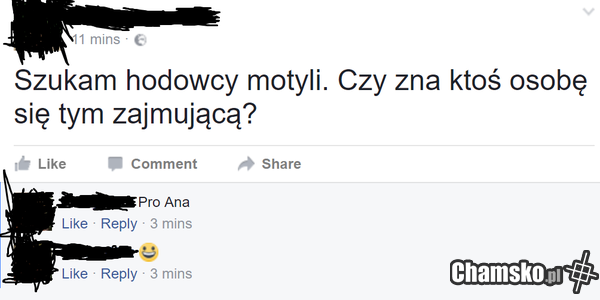 Anoreksja