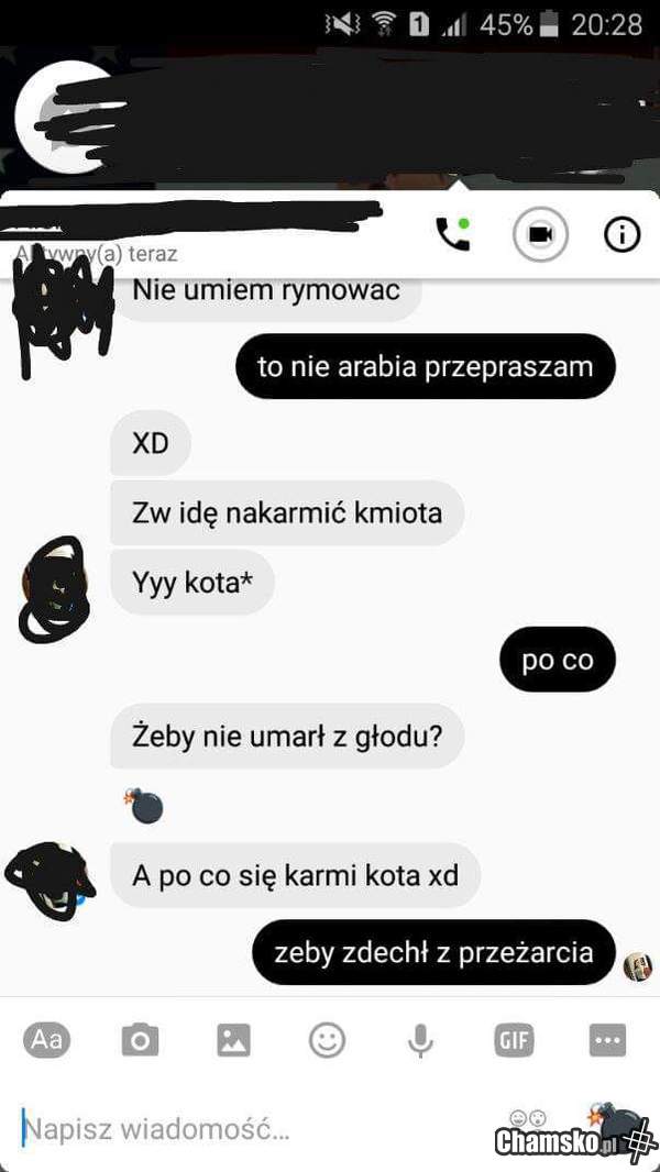 Po co karmić kota