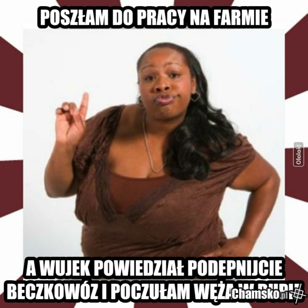 Fajna praca