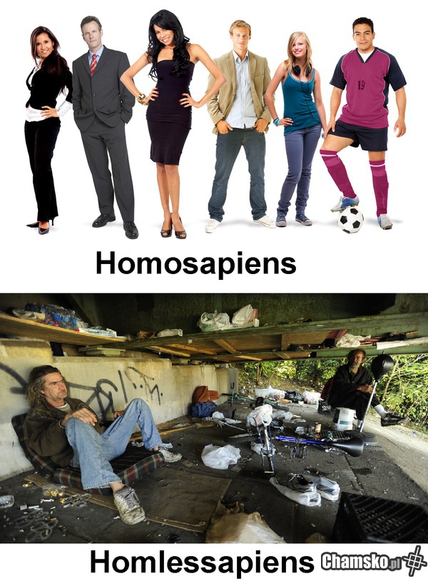 Paleobezdomni