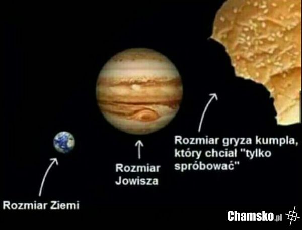Daj gryza