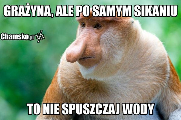 sikanie