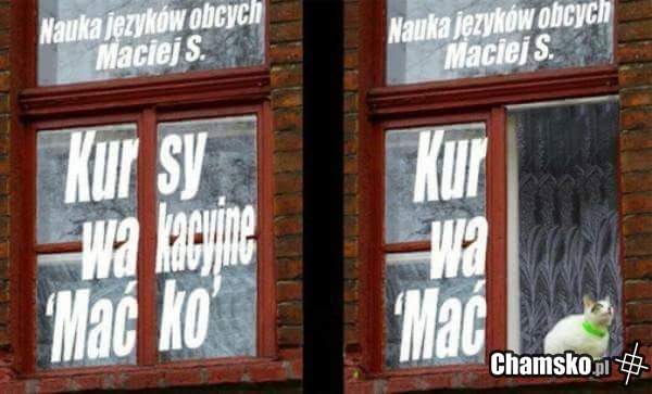 Kursy wakacyjne maćko