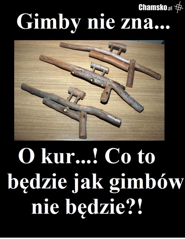 Gimby nie zna...