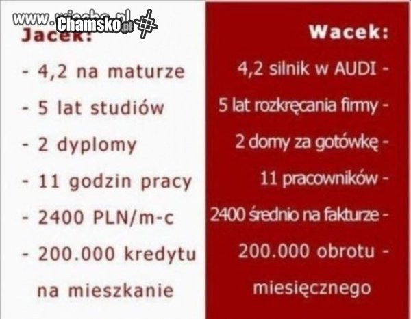 Polskie studia