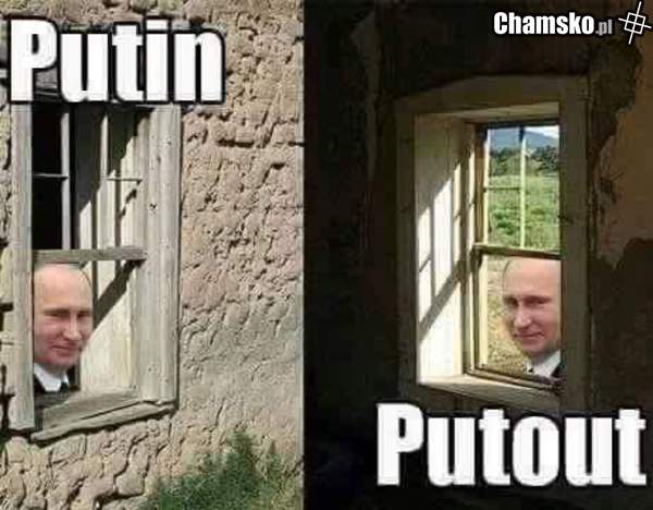 In and Out