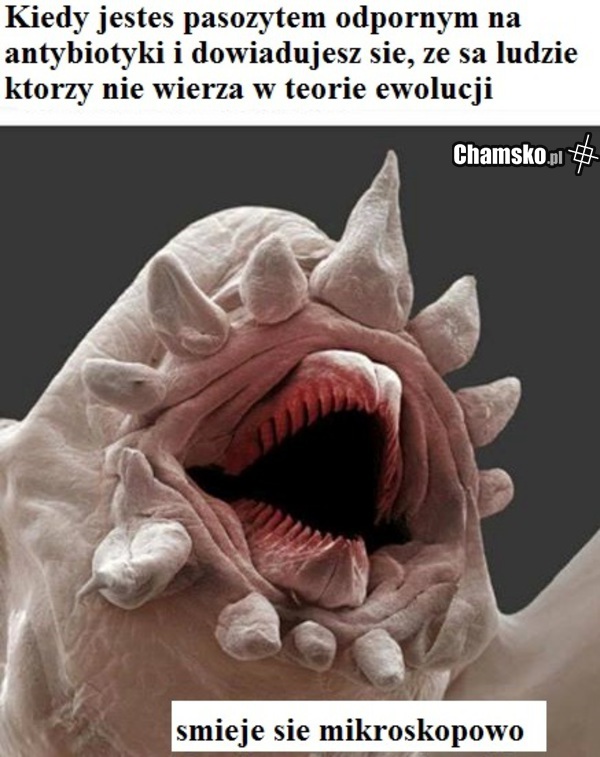 mikroskopowo