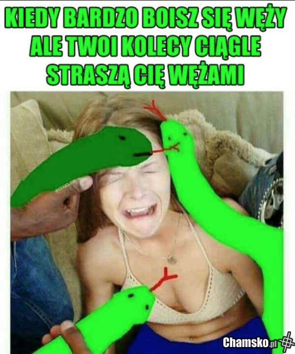 Dzikie węże