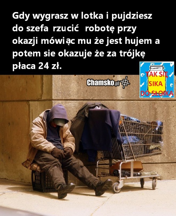 lotek