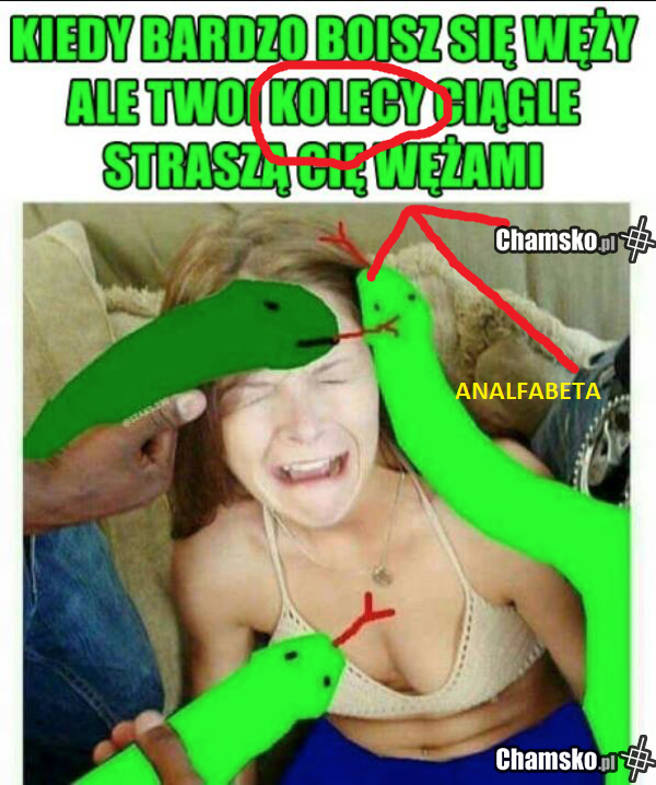 Analfabeta chciał zabłysnąć....ha ha