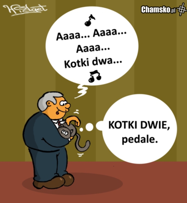 Kotki dwa