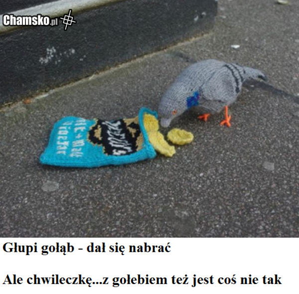 golab