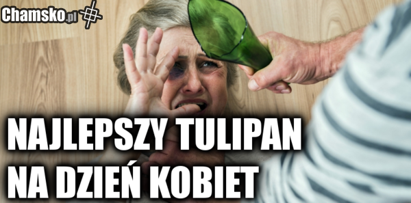 tulipan