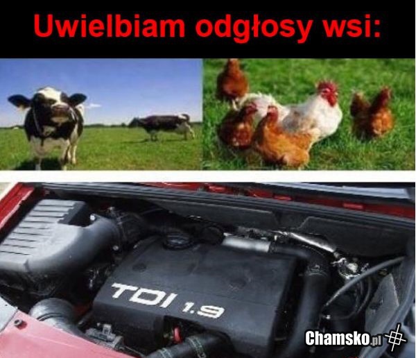 Uwielbiam odgłosy wsi...