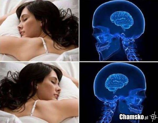 tyle w temacie tego zasranego mema