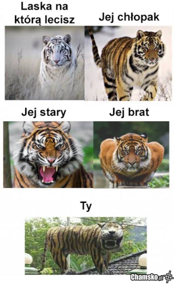 Podrywacz