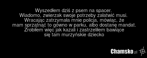 Wyszedłem dziś z psem na spacer. Wiadomo, zwierzak swoje potrzeby załatwić musi. Wracając zatrzymała mnie policja, mówiąc, że mam sprzątnąć to gówno w parku, albo dostanę mandat. Zrobiłem więc jak kazali i zastrzeliłem bawiące się tam murzyńskie dziecko