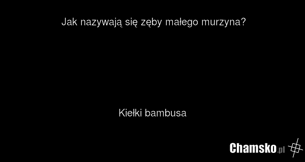 Jak nazywają się zęby małego murzyna? Kiełki bambusa
