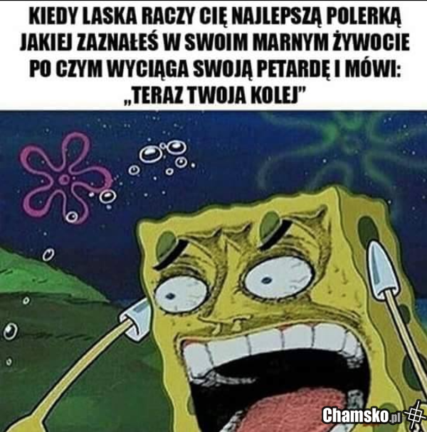 Najlepsza polerka