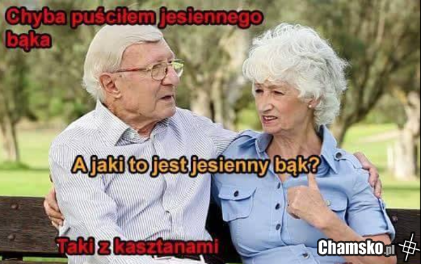 Kasztany
