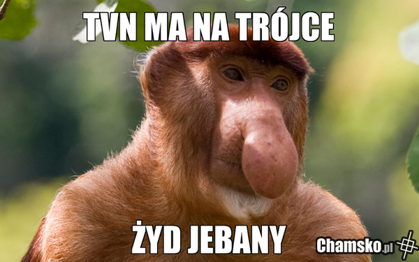 tvn