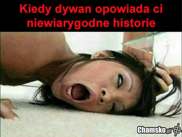 Niewiarygodne historie