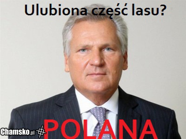 Polana kwaśnego króla
