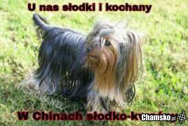 Chińskie jedzonko