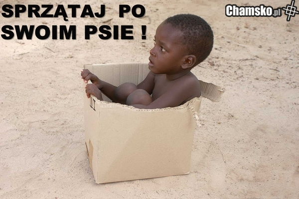 Sprzątaj po swoim psie