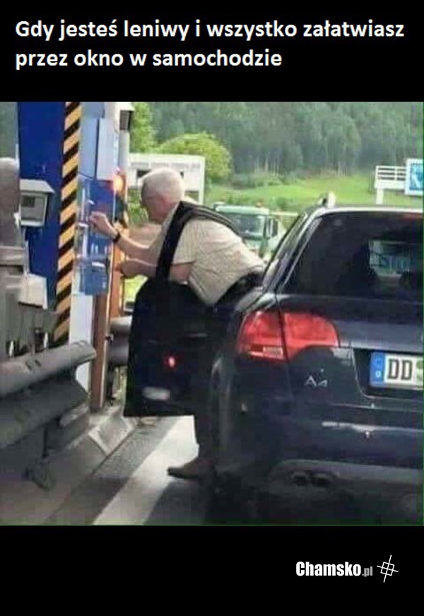 Ekspert logiki