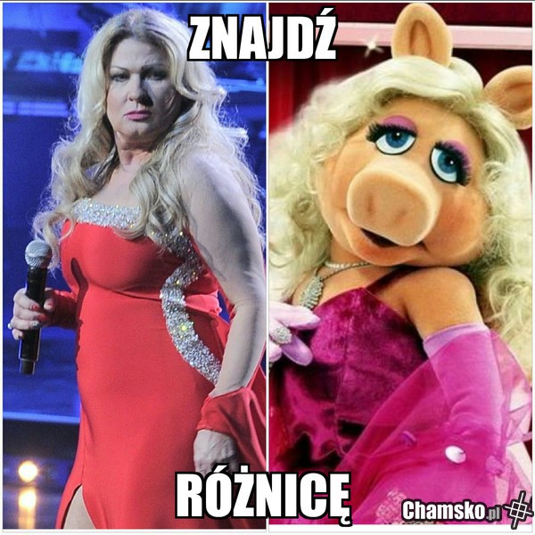 Kozidrak