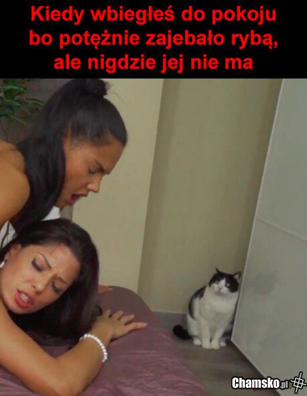 Gdzie ta rybka?