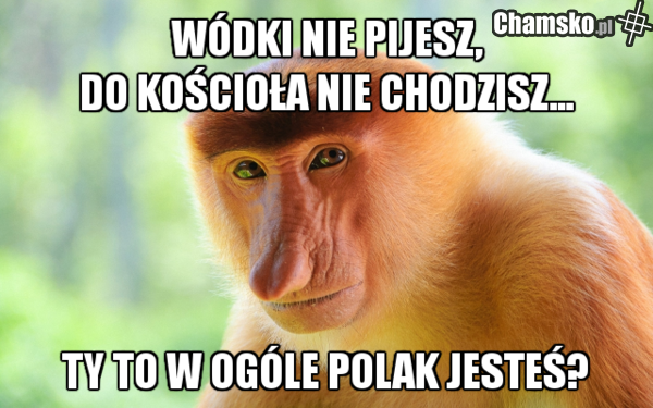 polak