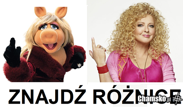 Palec lizać