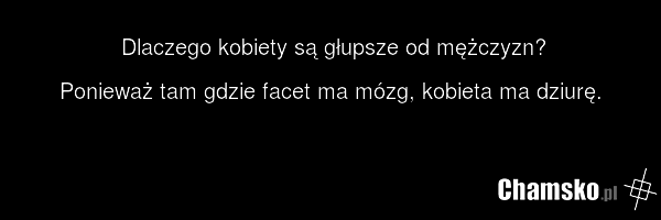 Dlaczego kobiety są głupsze od mężczyzn? Ponieważ tam gdzie facet ma mózg, kobieta ma dziurę.