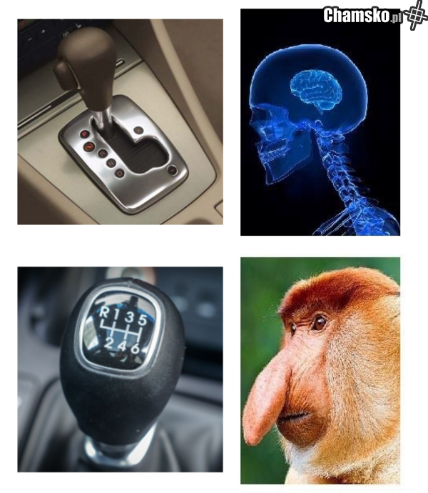 skrzynia