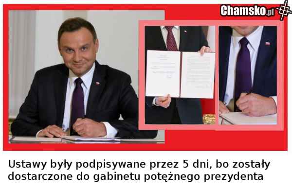 potężny duda