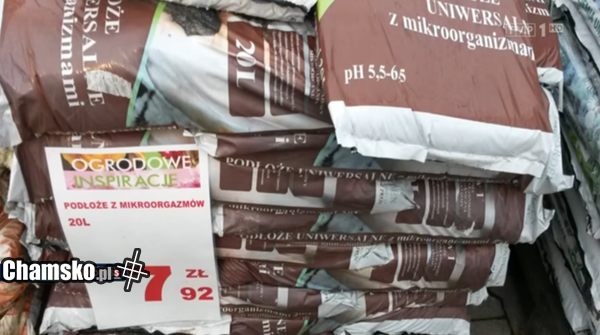 A ty miałaś mikroorgazm?