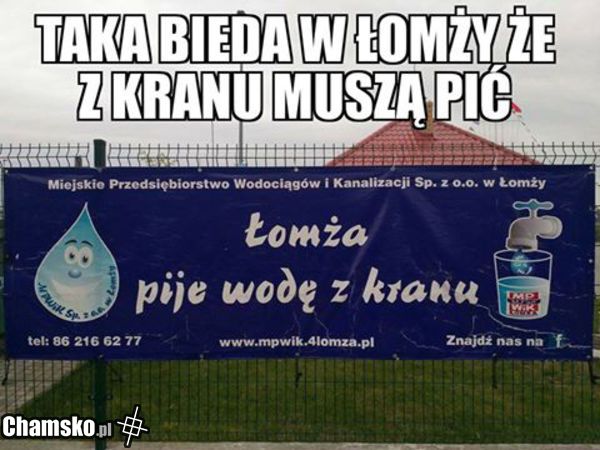 Picie w Łomży