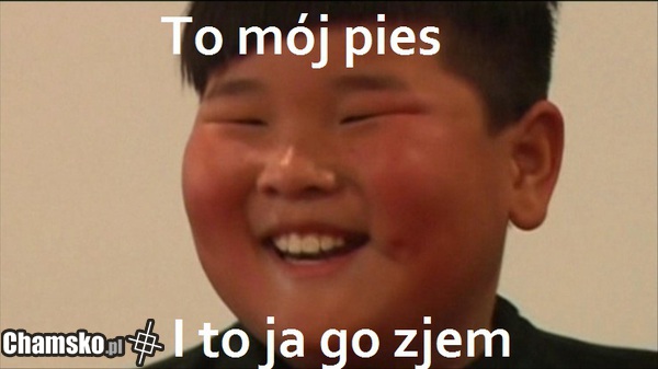 niewybredny żółty jesienny liść