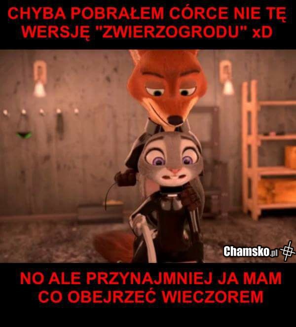 Zwierzogród ( ͡° ͜ʖ ͡°)