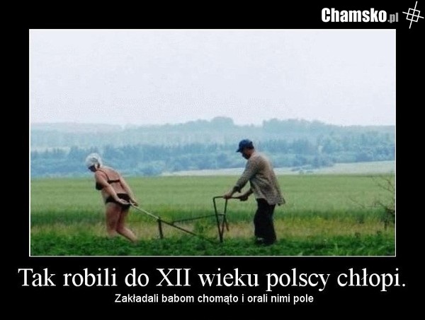 Obsługa baby