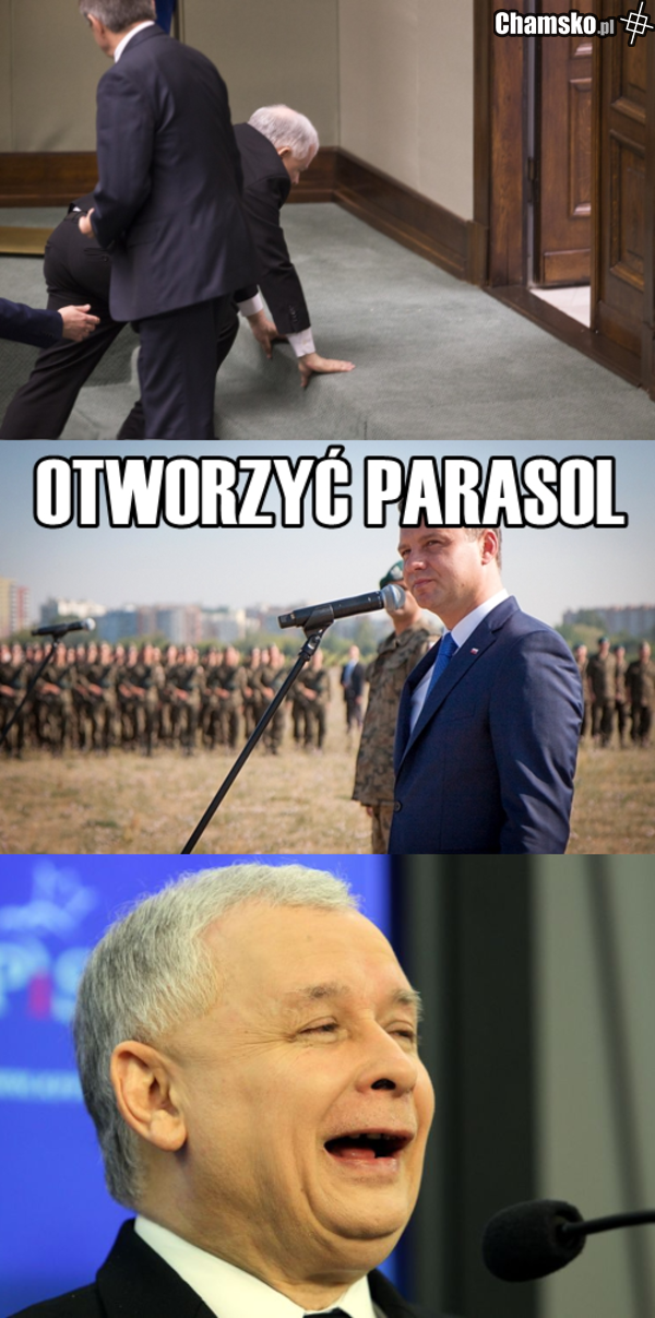 parasol