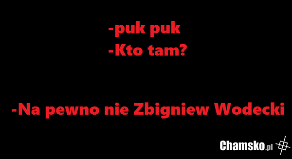 Pszczółka gucio