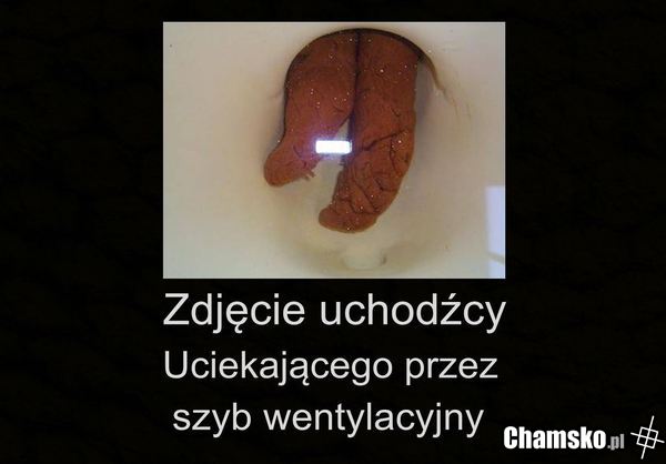 Uchodźca
