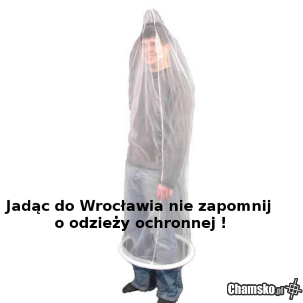 Witamy we Wrocławiu.