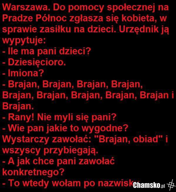 Typowa Andżelika